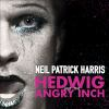 Hedwig_and_the_Angry_Inch