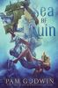 Sea_of_ruin